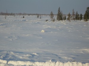 bovanenkovo_11