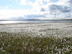 gallery_pics_004  