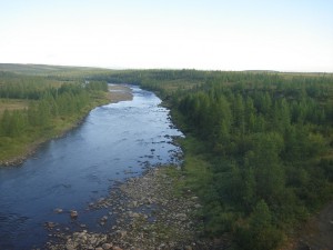 gallery_pics_006  