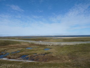 gallery_pics_009  