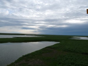 gallery_pics_010  