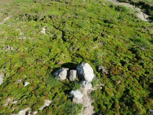 gallery_pics_011  