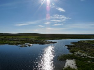 gallery_pics_013  