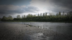 gallery_pics_016  